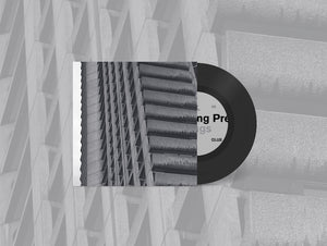 
                  
                    Load image into Gallery viewer, The Wedding Present - We Should Be Together/ Don&amp;#39;t Give Up Without A Fight
                  
                