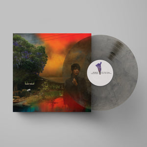 
                  
                    Load image into Gallery viewer, Sharon Van Etten - We&amp;#39;ve Been Going About This All Wrong
                  
                