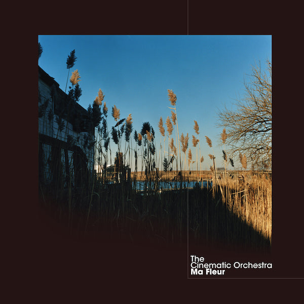 The Cinematic Orchestra - Ma Fleur (2021 Reissue)